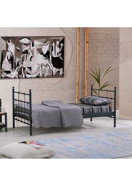 Lalas Daybed Tek Kişilik Sedir Divan Metal Karyola 90x200