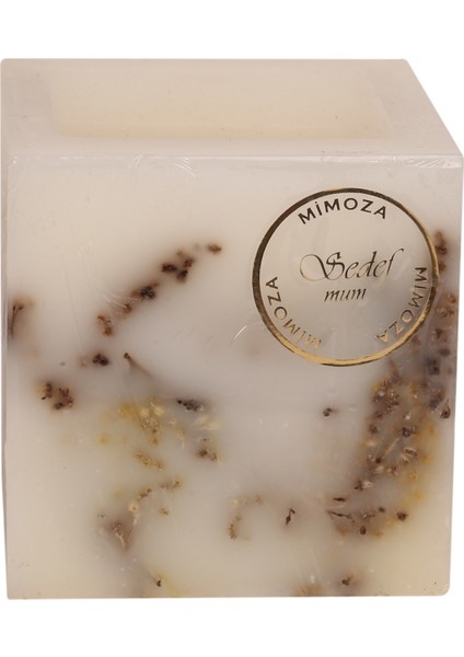 Mimoza Kokulu Mum