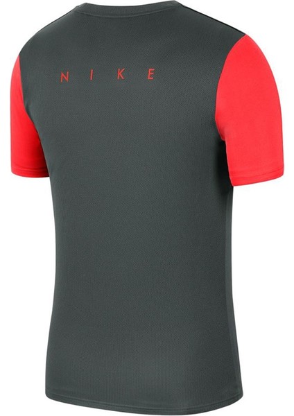 Dri-Fıt Academy Pro Erkek Tişört BV6926-079