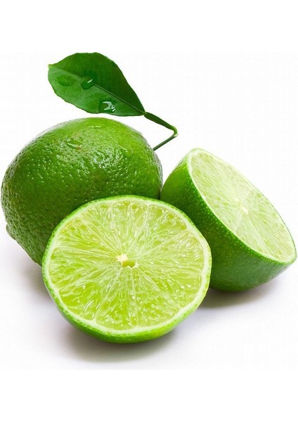 Reyon 2 Yaş Aşılı Tahiti Lime Yeşil Limon Fidanı, Torbada