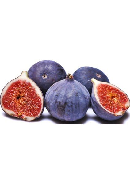 Reyon 2 Yaş Bursa Siyahı Incir Fidanı, Torbada