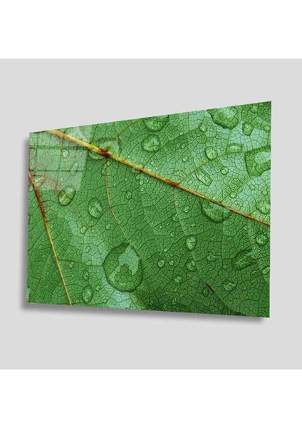 Yeşil Cam Tablo 4mm Dayanıklı Temperli Cam