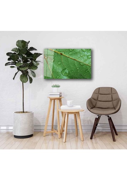 Yeşil Cam Tablo 4mm Dayanıklı Temperli Cam fiyatları