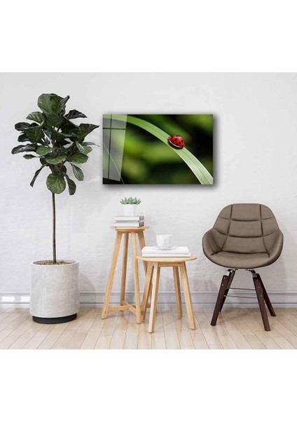 Yeşil Cam Tablo 4mm Dayanıklı Temperli Cam fiyatları