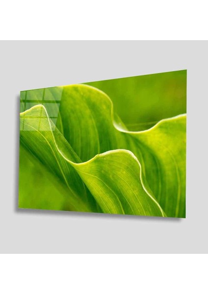 Yeşil Cam Tablo 4mm Dayanıklı Temperli Cam