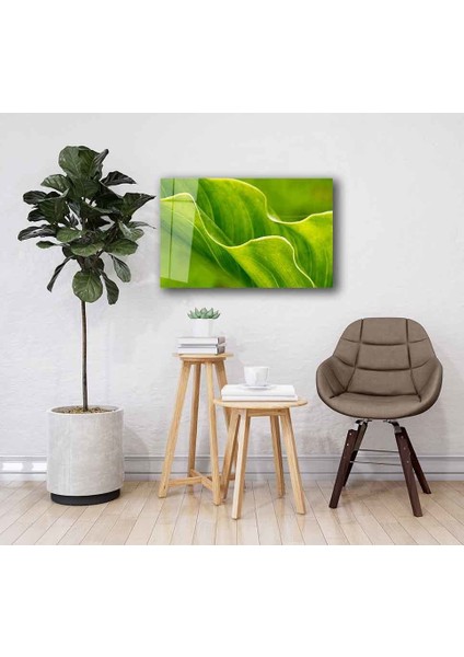 Yeşil Cam Tablo 4mm Dayanıklı Temperli Cam fiyatları