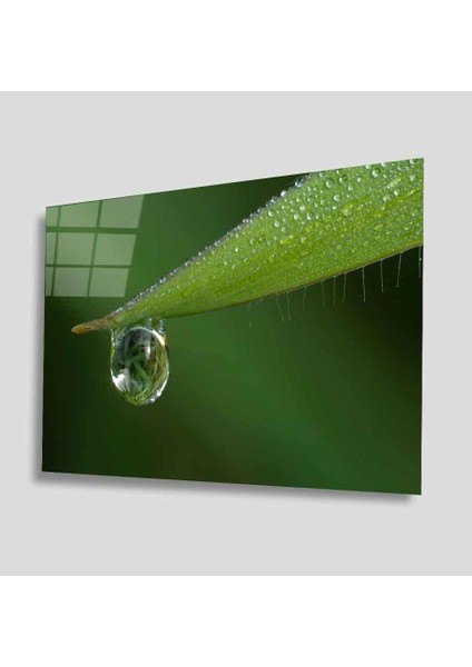 Yeşil Cam Tablo 4mm Dayanıklı Temperli Cam