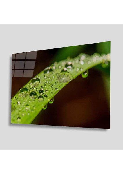 Yeşil Cam Tablo 4mm Dayanıklı Temperli Cam