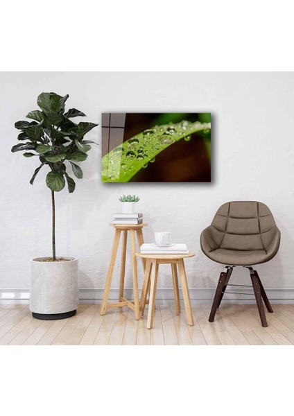 Yeşil Cam Tablo 4mm Dayanıklı Temperli Cam fiyatları