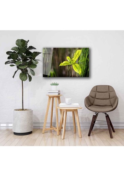 Yeşil Cam Tablo 4mm Dayanıklı Temperli Cam fiyatları