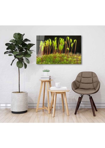 Yeşil Cam Tablo 4mm Dayanıklı Temperli Cam fiyatları