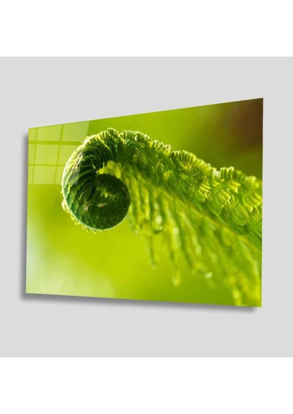 Yeşil Cam Tablo 4mm Dayanıklı Temperli Cam