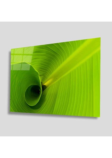 Yeşil Cam Tablo 4mm Dayanıklı Temperli Cam