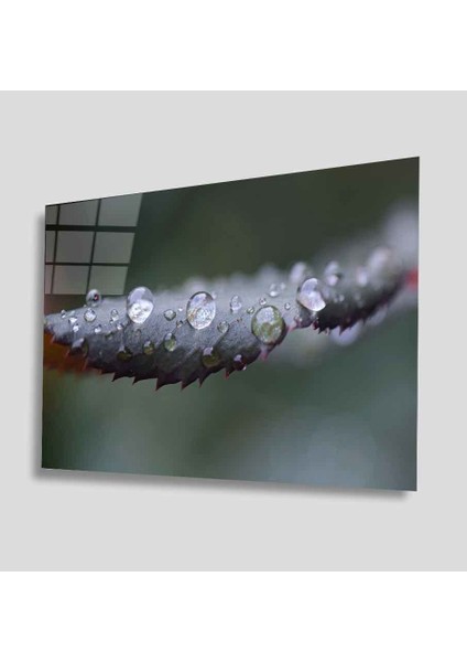 Yeşil Cam Tablo 4mm Dayanıklı Temperli Cam