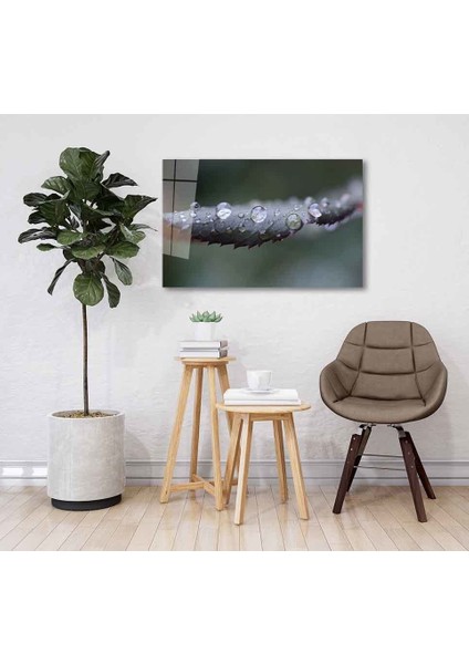 Yeşil Cam Tablo 4mm Dayanıklı Temperli Cam fiyatları