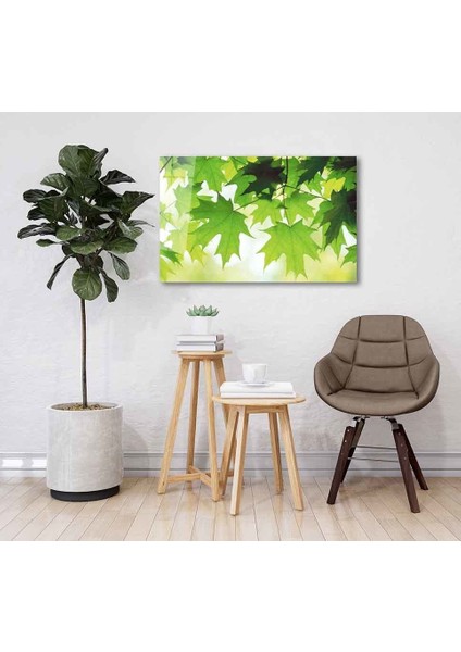 Yeşil Cam Tablo 4mm Dayanıklı Temperli Cam fiyatları