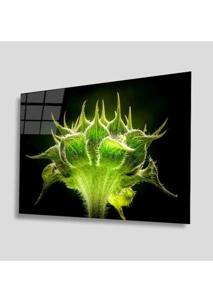 Yeşil Cam Tablo 4mm Dayanıklı Temperli Cam