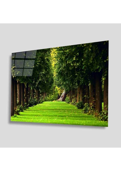 Yeşil Cam Tablo 4mm Dayanıklı Temperli Cam