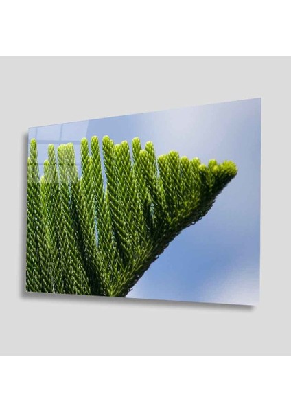 Yeşil Cam Tablo 4mm Dayanıklı Temperli Cam