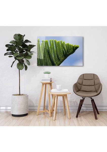 Yeşil Cam Tablo 4mm Dayanıklı Temperli Cam fiyatları