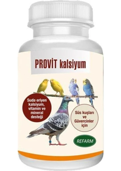 Provit Kalsiyum Vitamin 100 gr