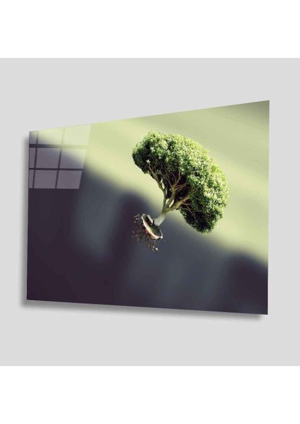 Yeşil Cam Tablo 4mm Dayanıklı Temperli Cam