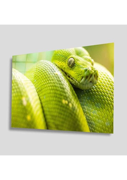 Yeşil Cam Tablo 4mm Dayanıklı Temperli Cam