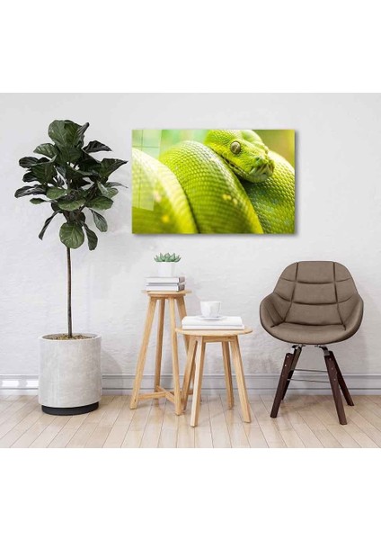 Yeşil Cam Tablo 4mm Dayanıklı Temperli Cam fiyatları