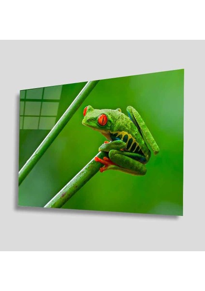 Yeşil Cam Tablo 4mm Dayanıklı Temperli Cam