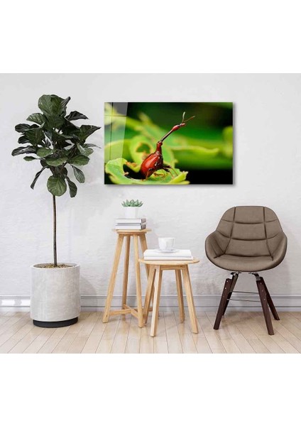 Yeşil Cam Tablo 4mm Dayanıklı Temperli Cam fiyatları