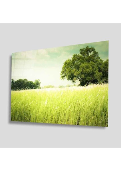 Yeşil Cam Tablo 4mm Dayanıklı Temperli Cam