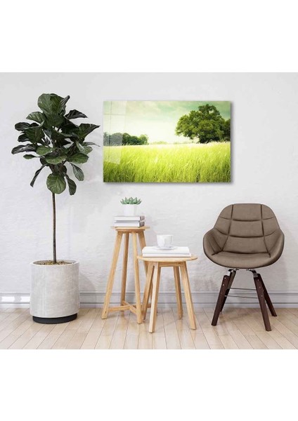 Yeşil Cam Tablo 4mm Dayanıklı Temperli Cam fiyatları