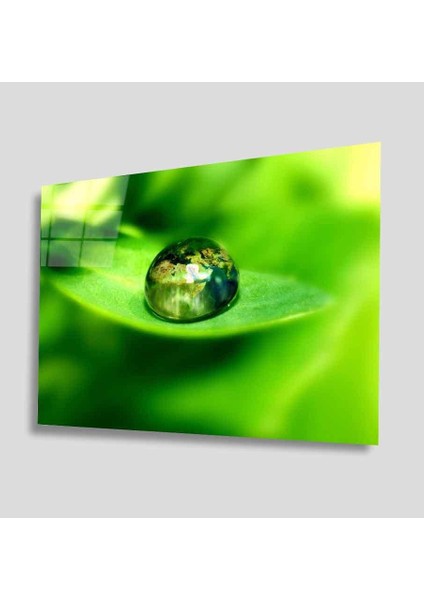 Yeşil Cam Tablo 4mm Dayanıklı Temperli Cam