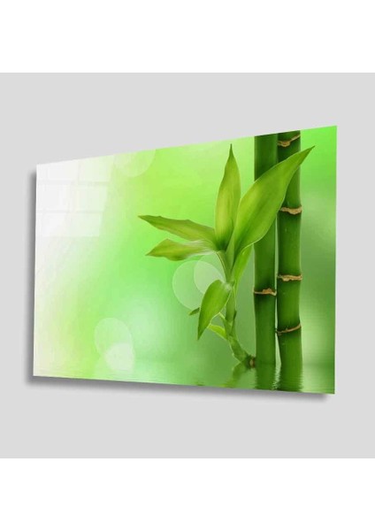 Yeşil Cam Tablo 4mm Dayanıklı Temperli Cam