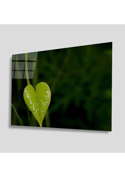 Yeşil Cam Tablo 4mm Dayanıklı Temperli Cam