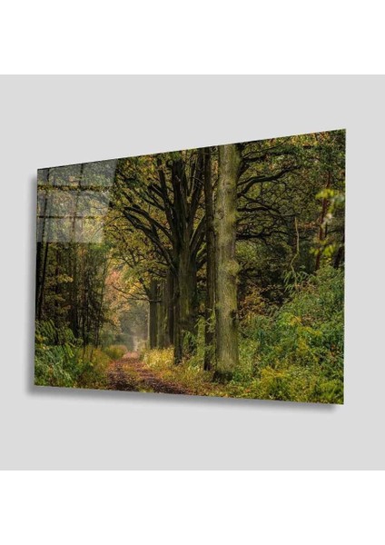 Yeşil Cam Tablo 4mm Dayanıklı Temperli Cam