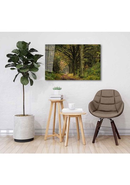 Yeşil Cam Tablo 4mm Dayanıklı Temperli Cam fiyatları