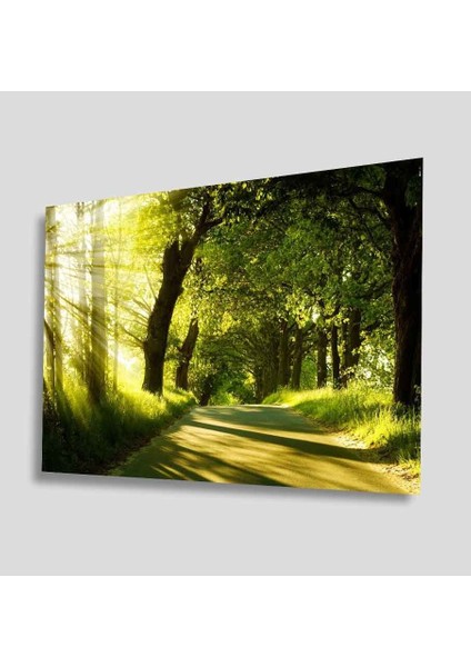 Yeşil Cam Tablo 4mm Dayanıklı Temperli Cam