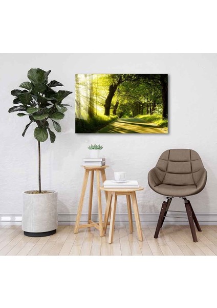 Yeşil Cam Tablo 4mm Dayanıklı Temperli Cam fiyatları