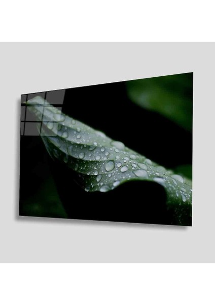 Yeşil Cam Tablo 4mm Dayanıklı Temperli Cam