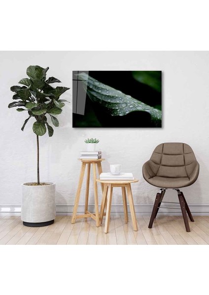 Yeşil Cam Tablo 4mm Dayanıklı Temperli Cam fiyatları