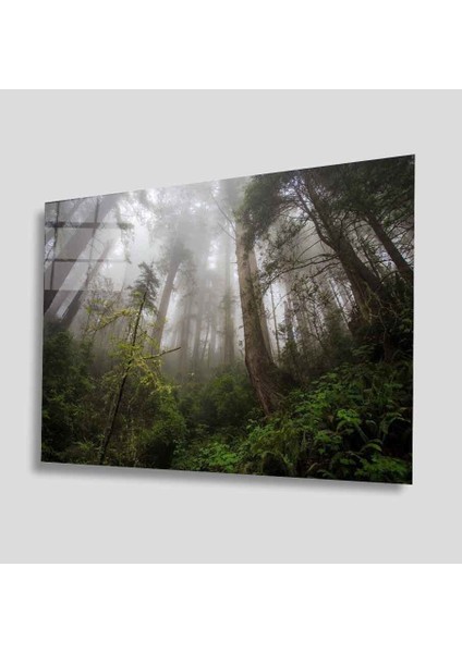 Yeşil Cam Tablo 4mm Dayanıklı Temperli Cam