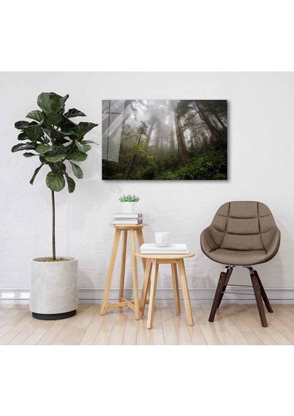 Yeşil Cam Tablo 4mm Dayanıklı Temperli Cam fiyatları