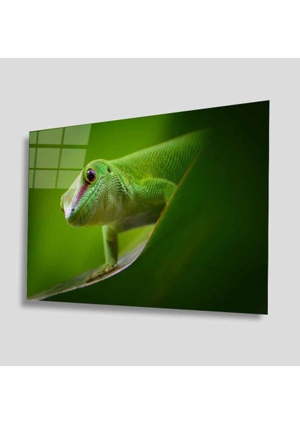 Yeşil Cam Tablo 4mm Dayanıklı Temperli Cam