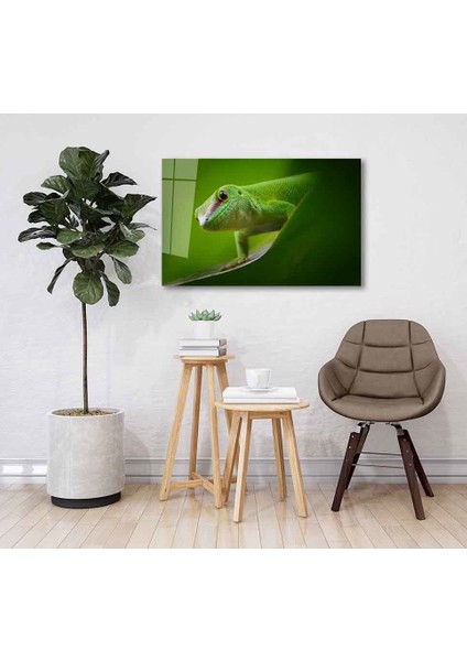 Yeşil Cam Tablo 4mm Dayanıklı Temperli Cam fiyatları