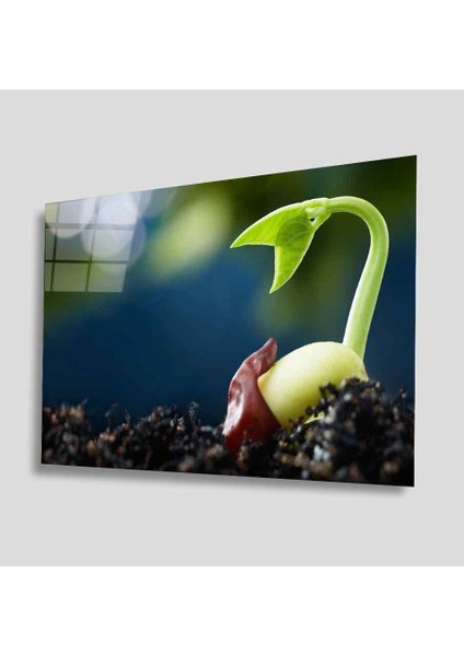 Yeşil Cam Tablo 4mm Dayanıklı Temperli Cam