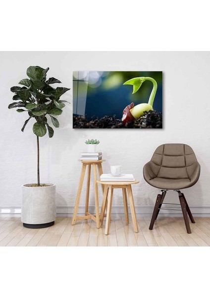 Yeşil Cam Tablo 4mm Dayanıklı Temperli Cam fiyatları