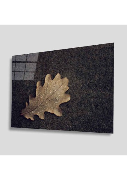 Yeşil Cam Tablo 4mm Dayanıklı Temperli Cam