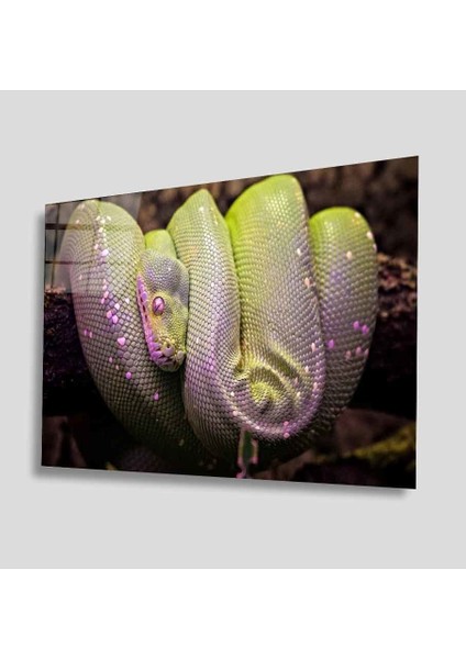 Yeşil Cam Tablo 4mm Dayanıklı Temperli Cam