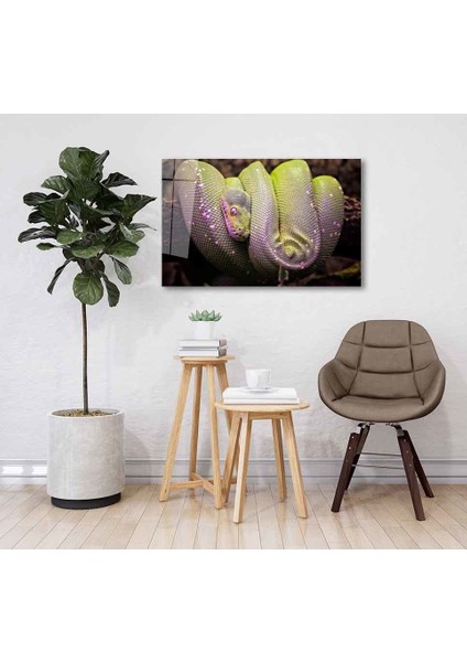 Yeşil Cam Tablo 4mm Dayanıklı Temperli Cam fiyatları